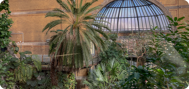 Winter garden